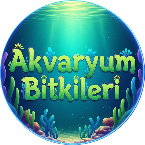 Akvaryum Bitkileri